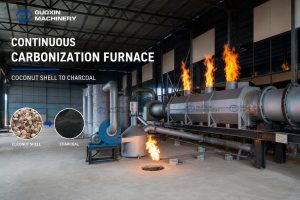 Continuous Carbonization Furnace